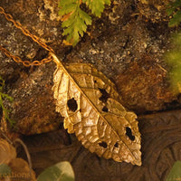 Timeless Alder Leaf Pendant-  In Brass