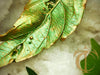 Timeless Leaf Pendant